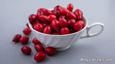 معنی خواب زغال اخته