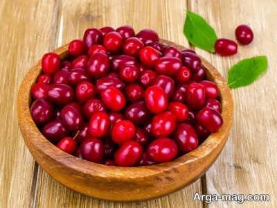 خوردن زغال اخته در خواب