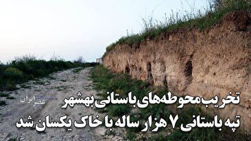 شهرداری و کشاورزان تپه‌های باستانی 7 هزار ساله را در نزدیکی بهشهر با خاک یکسان کردند / استخوان‌های انسانی متعلق به بیش از 3 هزار سال قبل روی زمین ریخته‌اند / گوردخمه‌های اشکانی به طور کامل نابود شدند (فیلم)