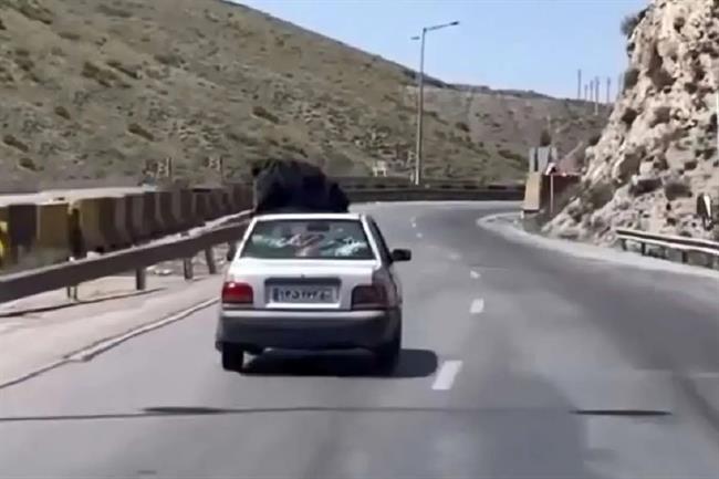 اعترافات عجیب زنی که روی سقف پراید در حال حرکت نشست