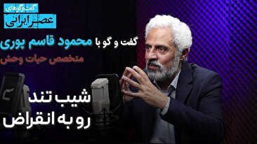انقراض یوز و پلنگ نوک کوه یخ است/ از بزرگترین پرنده ایران فقط 20 تا مانده/ گوزن زرد دیگر در طبیعت وجود ندارد/ ماهیان خاویار هم در آستانه انقراض اند(فیلم)