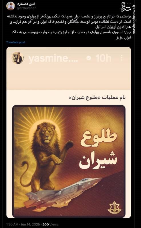 رضا پهلوی هم به کمپین کودککشها پیوست!/ چرا گروهک سلطنتطلب با جنایات رژیم اسرائیل همراهی میکند؟