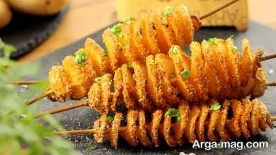 طرز تهیه چیپس فنری