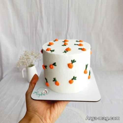 مدل های خاص مینی کیک