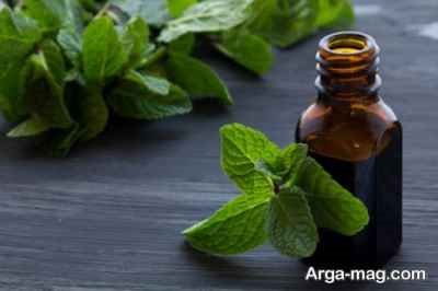 طرز تهیه روغن نعناع