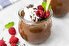 طرز تهیه پودینگ شکلاتی ساده