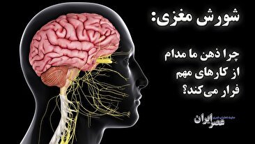 شورش مغزی: چرا ذهن ما مدام از کارهای مهم فرار می‌کند؟ (فیلم)
