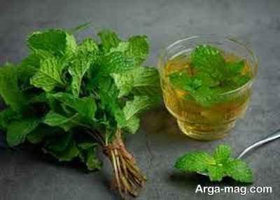 طرز تهیه سیروپ نعناع