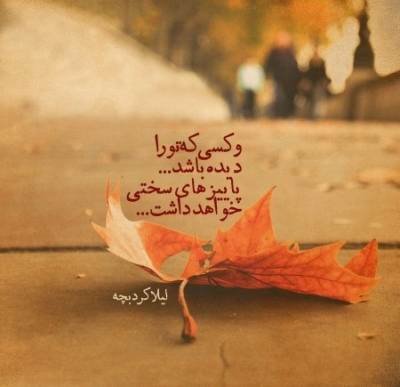 شعر ناب لیلا کردبچه
