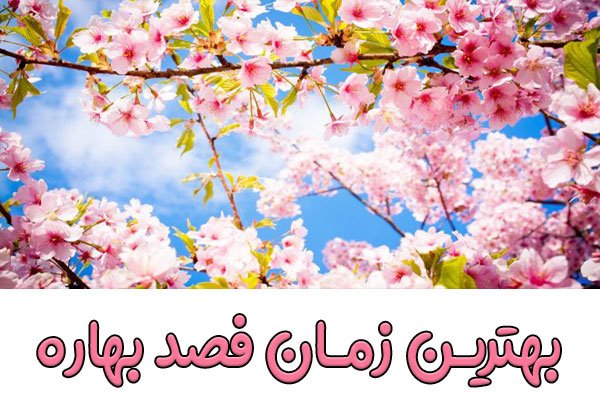 چه زمانی فصد خون را انجام دهیم؟