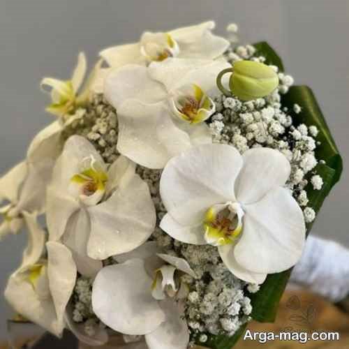 مدل دسته گل عروس ژیپسوفیلا