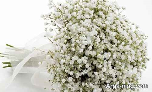 دیزاین دسته گل ژیپسوفیلا متنوع