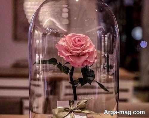 گل آرایی در شیشه
