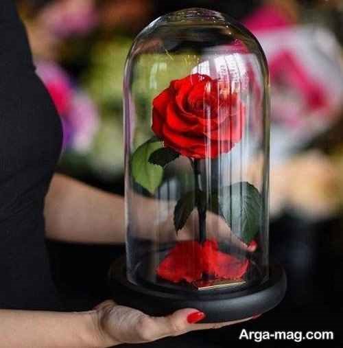 مدل گل آرایی در شیشه