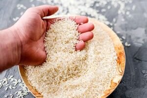 اعتراف بهزاد نبوی درباره قالیباف و اژهای/ بمب آمریکایی بهتر از بمب اسرائیلی است!