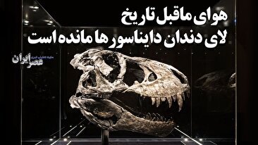 کشف هوای ماقبل تاریخ لای دندان دایناسورها مانده است (فیلم)