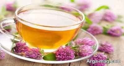 طرز تهیه دمنوش خار مریم نوشیدنی مقوی و آرامش بخش