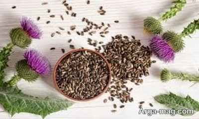 طرز تهیه دمنوش خار مریم