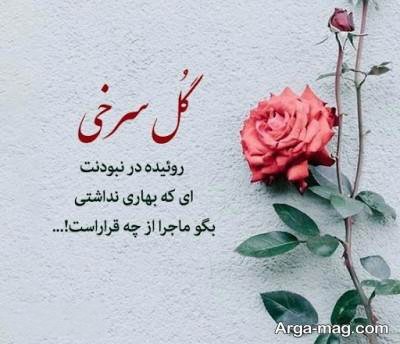 کپشن ناب در مورد گل رز