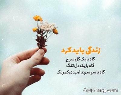 کپشن زیبا در مورد گل رز