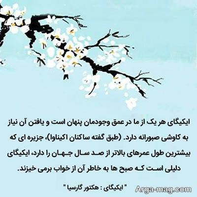 جملات ناب رمان ایکیگای