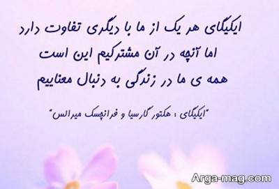 جملات ناب رمان ایکیگای