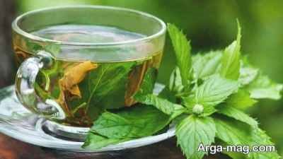 طرز تهیه دمنوش ریحان