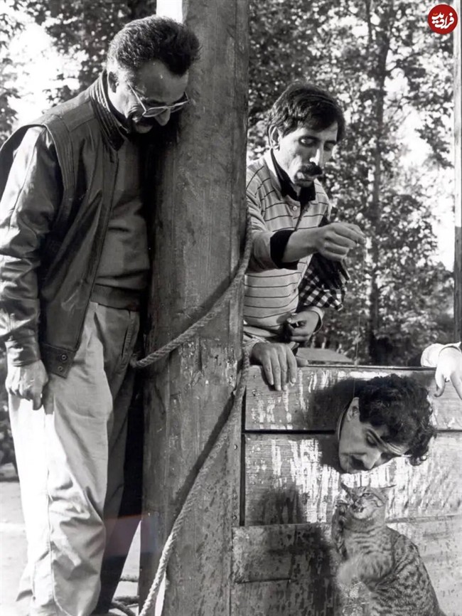 11zon_mahdi_taghipourofficial_1765557713_3786094967773104294_4947547150