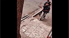 سرقت آیفون از دختر جوان در محله خانی‌آباد تهران (فیلم)