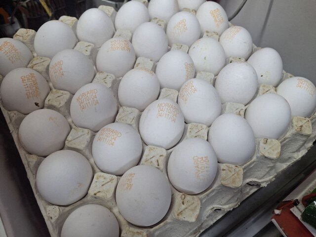 افزایش قیمت تخم&zwnj;مرغ در بازار مصرف