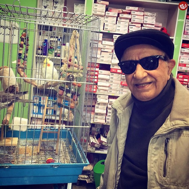 jamal.vafaei_1740120276_3572710288118927371_4500474441