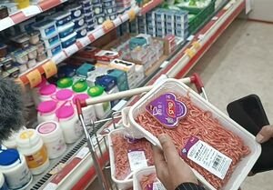 اغتشاش دوشنبه و "مجاهدان شنبه"/ حذف ارز ترجیحی و تضمین‌های لازم