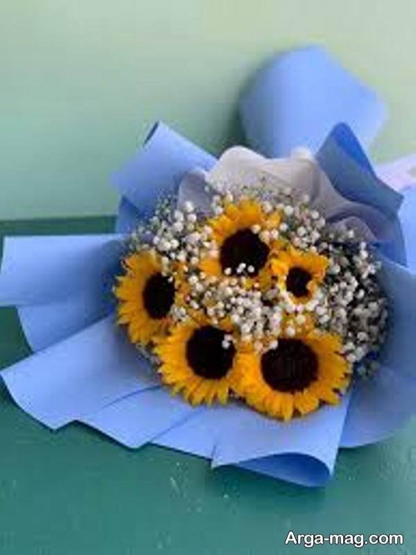  دیزاین زیبا گل آفتابگردان
