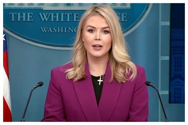 گرینلند تهدید شد/ سخنگوی کاخ سفید: لازم باشد به آنجا هم حمله میکنیم! + فیلم