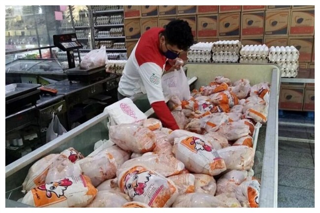 قیمت مرغ و گوشت قرمز کاهش می یابد؟
