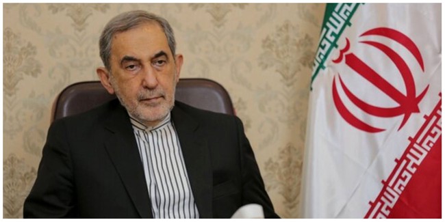 ولایتی: ترامپ روی چنگیز، فرعون و هیتلر را سفید کرده/ او از ترس شکست به سرعت دست‌ها را بالا می‌برد و تسلیم می‌شود