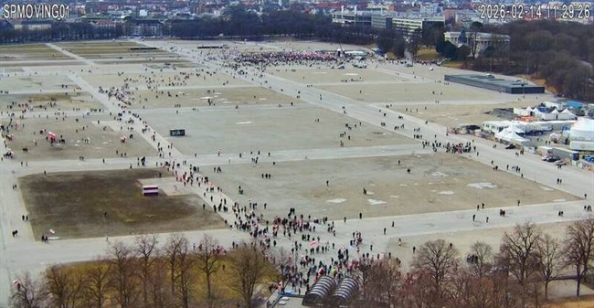 وقتی سس خرسی هم از عددسازی طرفدارانش حیرت می‌کند +فیلم