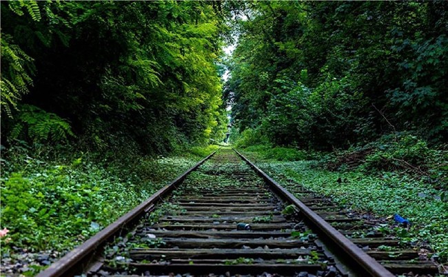 تاریخ پیش فروش بلیط قطار مسافربری نوروز 1405 + جزئیات